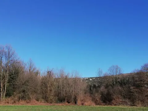 Prodaja, plac, 6100m², Orja Luka, Danilovgrad - image 4