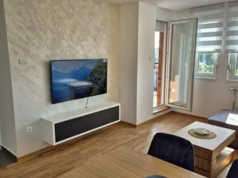 Rent, one bedroom apartment, 53m², Petrovaradin, Novi Sad - image 3