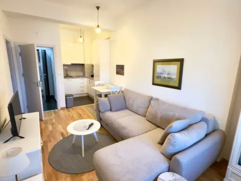 Izdavanje, jednosoban stan, 43m², Ljubović, Podgorica - image 2