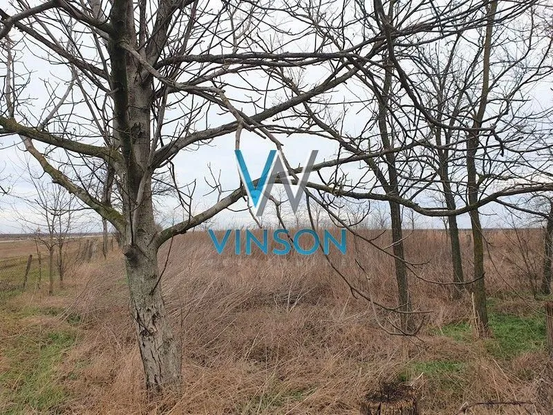 Prodaja, plac, 4383m², Temerin, Novi Sad