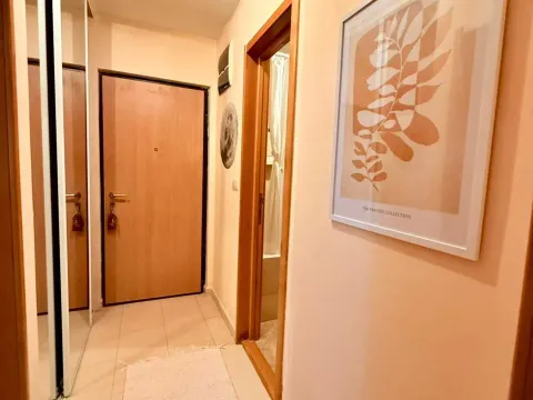 Izdavanje, jednosoban stan, 40m², Stari Aerodrom, Podgorica - image 5