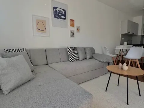 Rent, one bedroom apartment, 45m², Stari Aerodrom, Podgorica - image 1