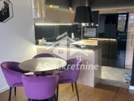 Izdavanje, trosoban stan, 70m², Bezanijska Kosa 1, Bežanijska Kosa Sve Podlokacije - image 4