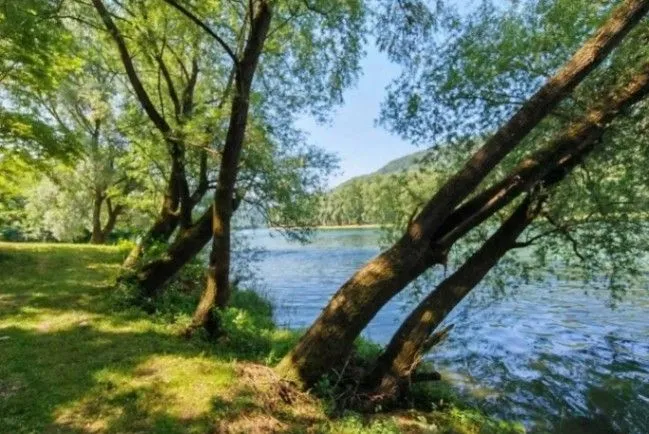 Sale, land lot, 500m², Gornja Trešnjica, Ljubovija