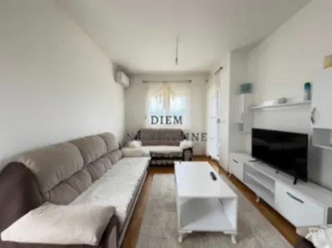 Izdavanje, jednosoban stan, 45m², Stari Aerodrom, Podgorica - image 11