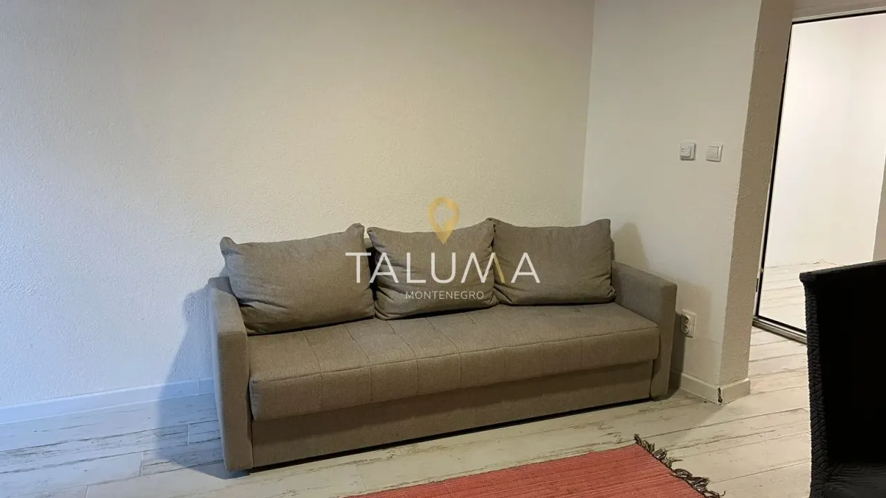 Rent, one bedroom apartment, 42m², Stara Varoš, Podgorica