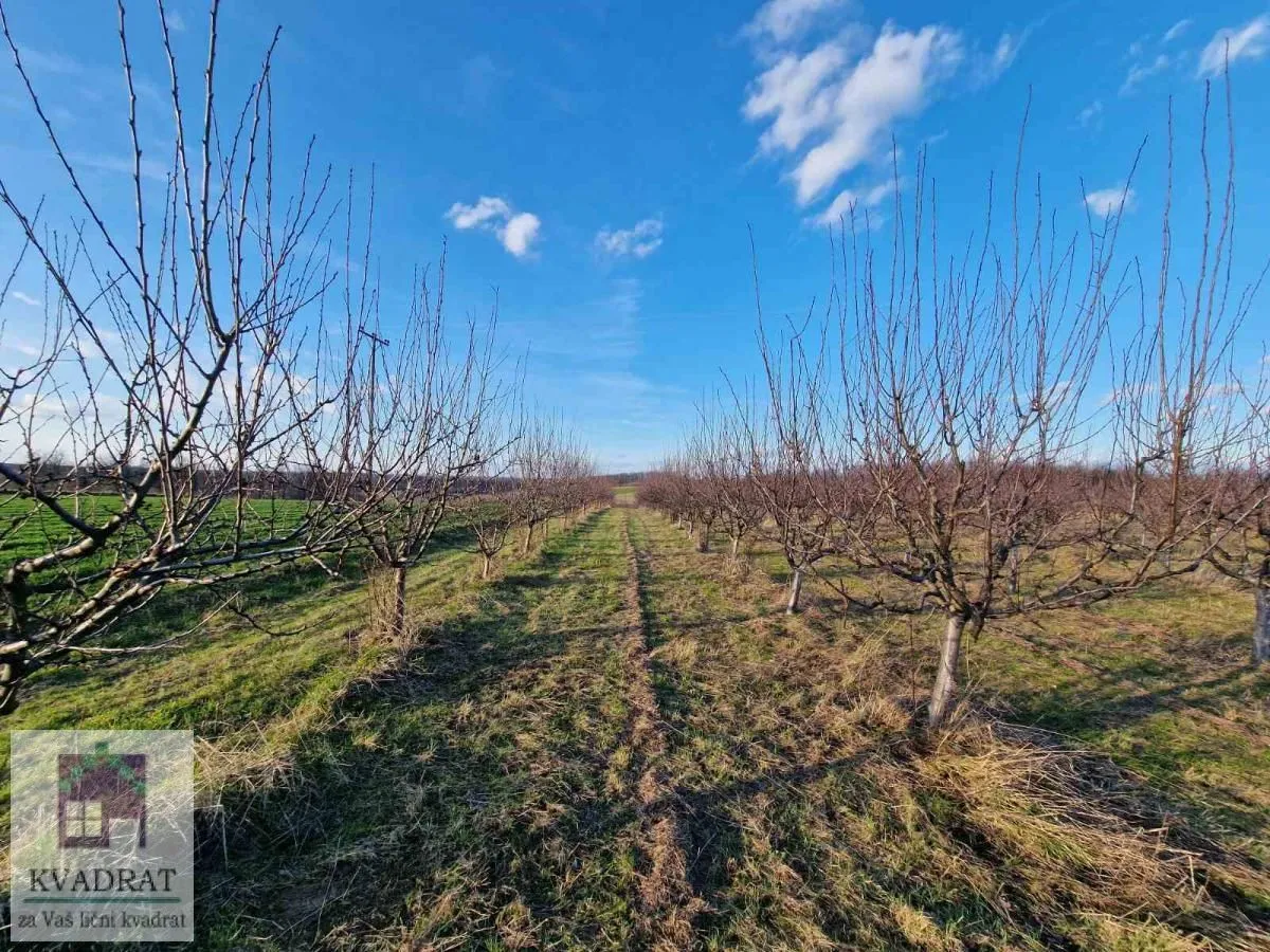 Prodaja, plac, 38000m², Kožuar, Ub