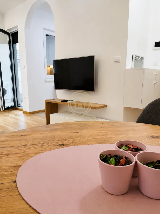 Rent, two bedroom apartment, 43m², Vračar Sve Podlokacije, Beograd