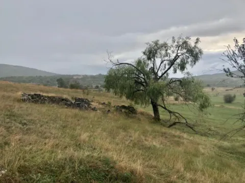 Sale, land lot, 162000m², Lukovo, Nikšić - image 5