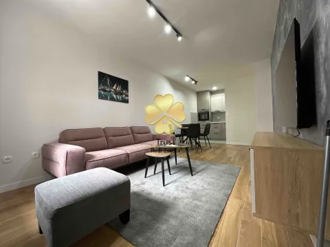 Izdavanje, jednosoban stan, 50m², Central Point, Podgorica - image 4