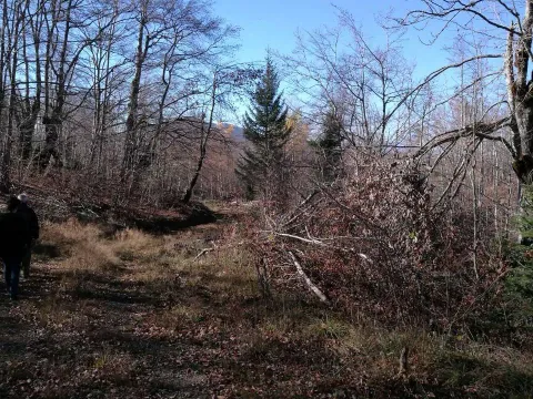 Prodaja, plac, 138000m², Kolašin, Crna Gora - image 2