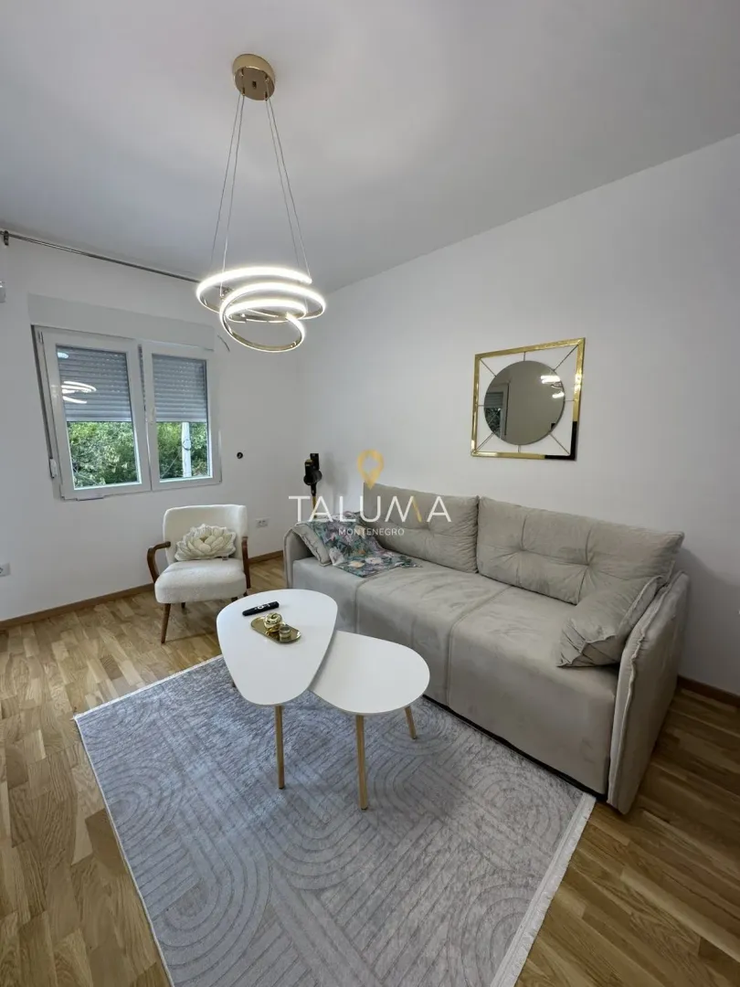 Rent, one bedroom apartment, 43m², Zagorič, Podgorica