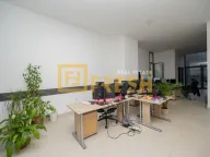 Izdavanje, poslovni prostor, 200m², Zabjelo, Podgorica - image 7