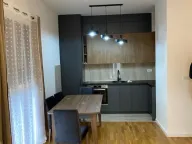 Izdavanje, jednosoban stan, 49m², Zabjelo, Podgorica - image 2