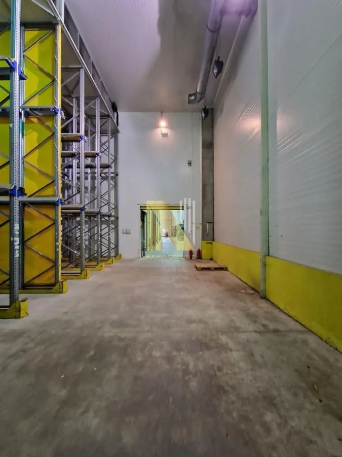 Rent, office space, 1200m², Čenej, Novi Sad Sve Podlokacije