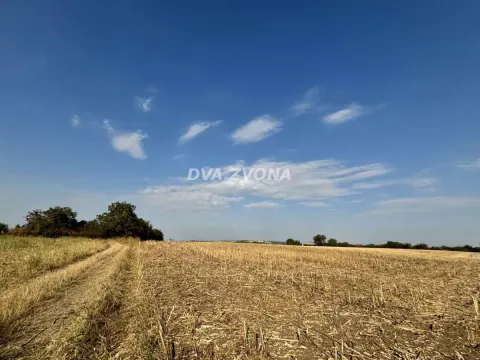 Pogled na zemljište sa utabanim putem i plavim nebom. - image 3