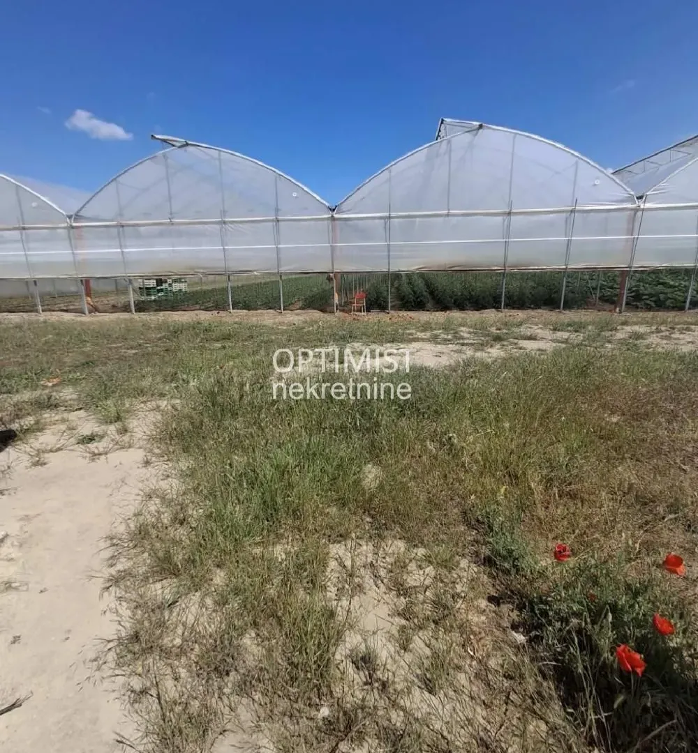Prodaja, plac, 15000m², Belegiš, Stara Pazova