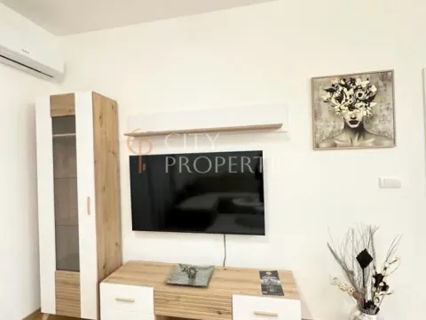 Izdavanje, stan, 48m², Zabjelo, Podgorica - image 4