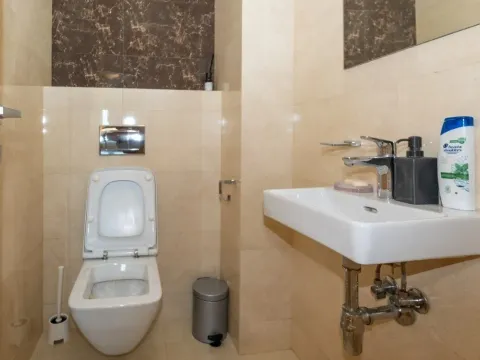 Rent, one bedroom apartment, 101m², Preko Morače, Podgorica - image 17