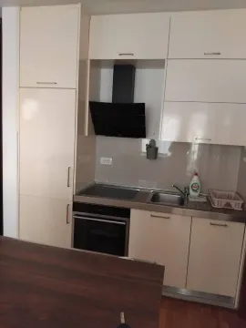 Moderna kuhinja sa svijetlim elementima, ugradnom rernom i aspiratorom. - image 8