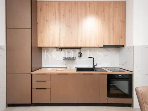 Rent, one bedroom apartment, 48m², Zabjelo, Podgorica - image 4