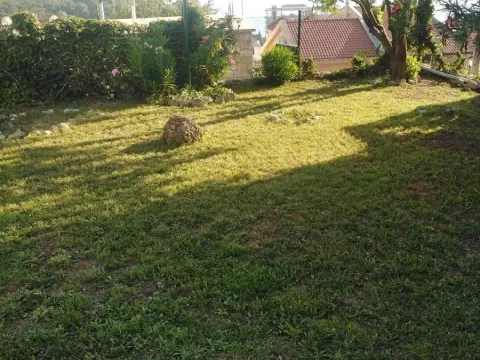 Prodaja, ugostiteljski objekat, 480m², Petrovac, Budva - image 5