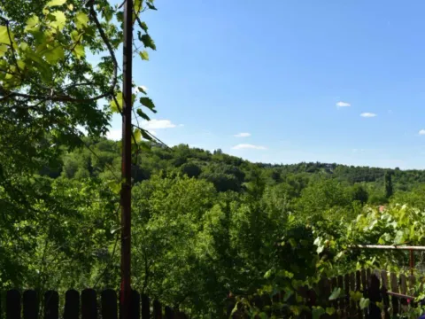 Sale, house, 113m², Novi Sad, Srbija - image 3