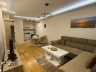 Izdavanje, jednosoban stan, 49m², Central Point, Podgorica - image 1