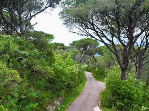 Sale, land lot, 5218m², Herceg Novi, Crna Gora - image 3