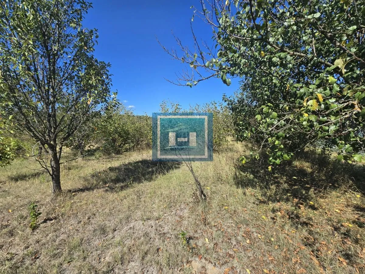 Sale, office space, 482m², Vladičin Han, Srbija