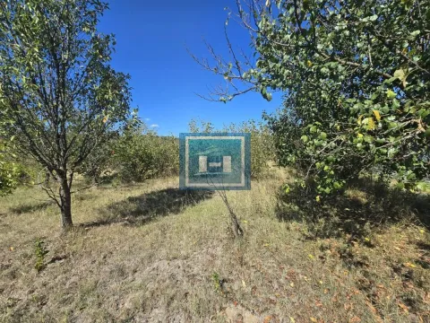 Prodaja, poslovni prostor, 482m², Vladičin Han, Srbija - image 12