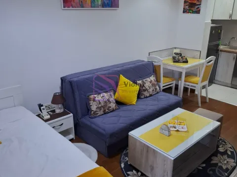 Izdavanje, jednosoban stan, 39m², Stara Varoš, Podgorica - image 2