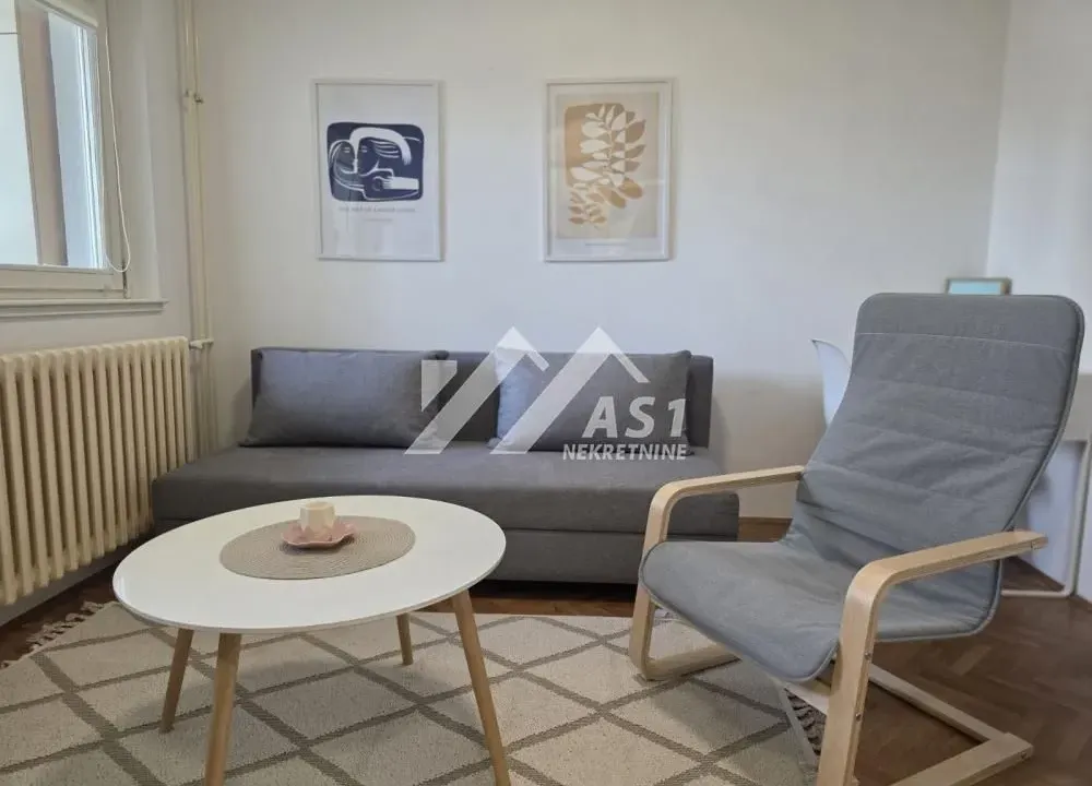 Rent, one bedroom apartment, 27m², Bulevar Oslobodjenja, Novi Sad Sve Podlokacije