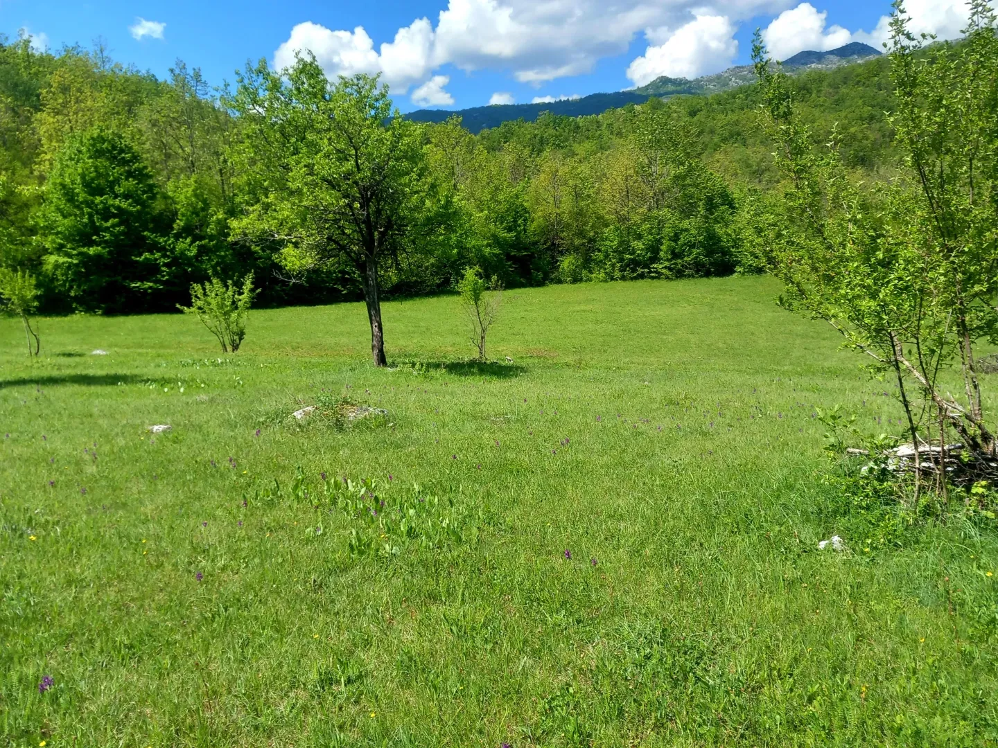 Prodaja, plac, 130000m², Sjenokosi, Nikšić