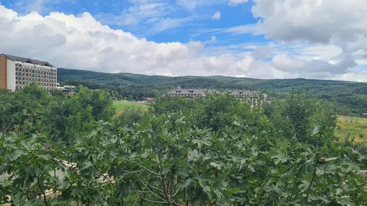 Prodaja, kuća, 86m², Banja Vrdnik, Irig