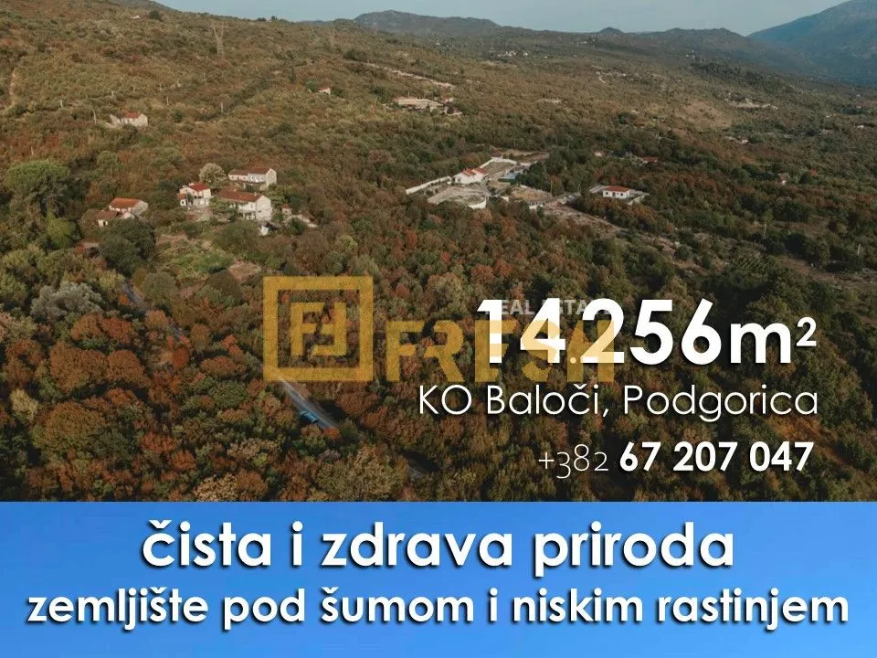 Prodaja, plac, 14256m², Ostalo, Podgorica