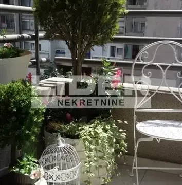 Izdavanje, dvosoban stan, 54m², Vračar Sve Podlokacije, Beograd - image 19