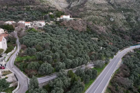 Pogled iz vazduha na maslinjak i okolni pejzaž sa putem. - image 9