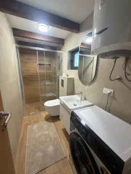 Modernly equipped bathroom with a walk-in shower, washbasin, and washing machine. - image 5