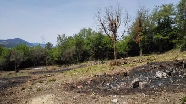 Sale, land lot, 4347m², Dub, Kotor