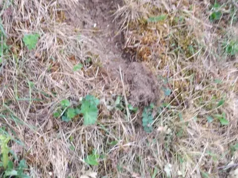 Prodaja, plac, 45233m², Kolašin, Crna Gora - image 7