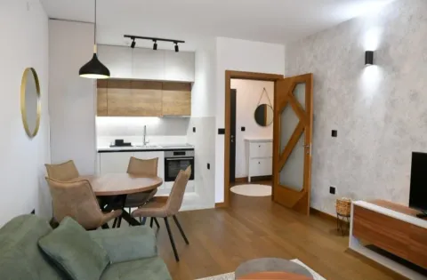 Rent, one bedroom apartment, 50m², Ljubović, Podgorica - image 5