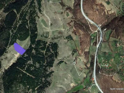Prodaja, plac, 6600m², Zlatibor, Srbija - image 9