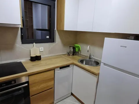 Izdavanje, garsonjera, 30m², Ljubović, Podgorica - image 4