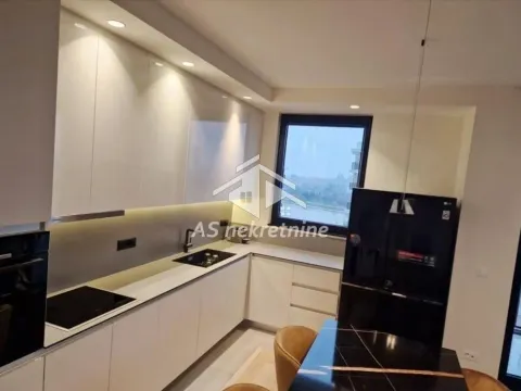 Izdavanje, četvorosoban stan, 109m², Savski Venac, Beograd - image 7