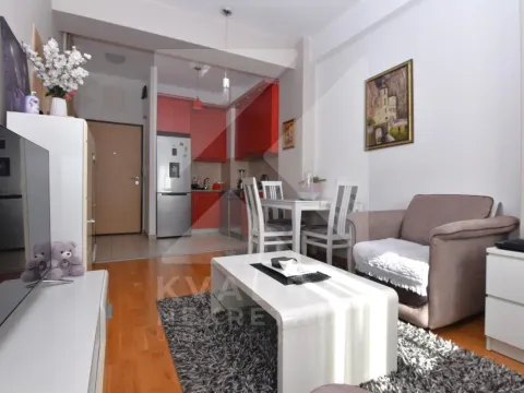 Izdavanje, jednosoban stan, 42m², Ljubović, Podgorica - image 2