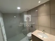 Izdavanje, stan, 250m², Savski Venac, Beograd - image 14