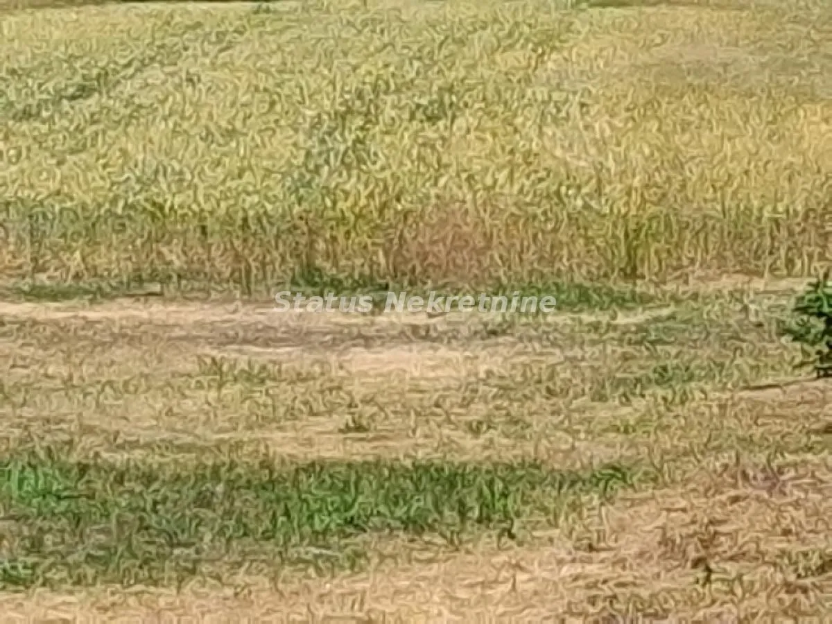 Prodaja, plac, 5738m², Begeč, Novi Sad Sve Podlokacije