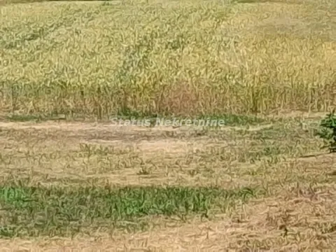 Prodaja, plac, 5738m², Begeč, Novi Sad Sve Podlokacije - image 12