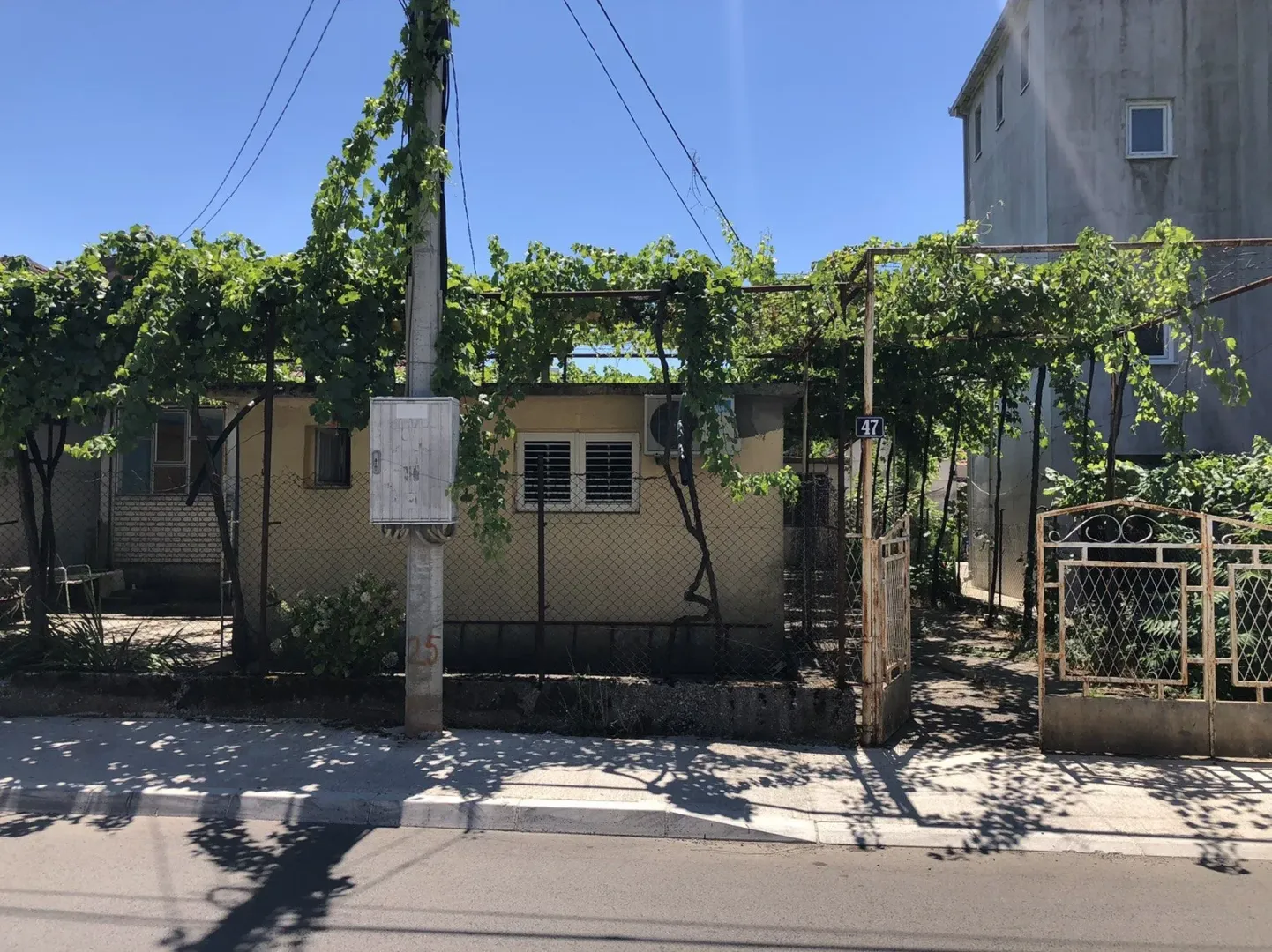 Eksterijer male kuće sa dvorištem prekrivenim vinovom lozom.